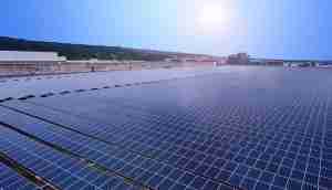 中美硅晶与赏金国际光电携手战略合作