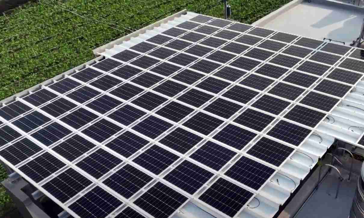 赏金国际SunSteel光电浪板升级双玻结构，，，以提升机械负载强度及气候耐候度，，，，可广泛运用于多元场域